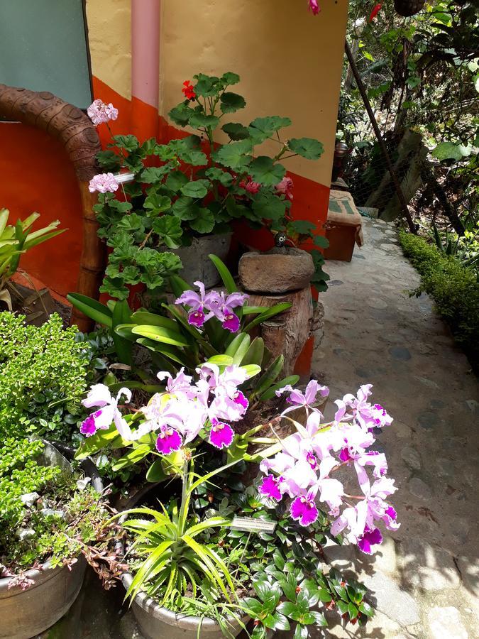 Cabanas El Rincon Paisa Jericoc (Antioquia) Exterior foto